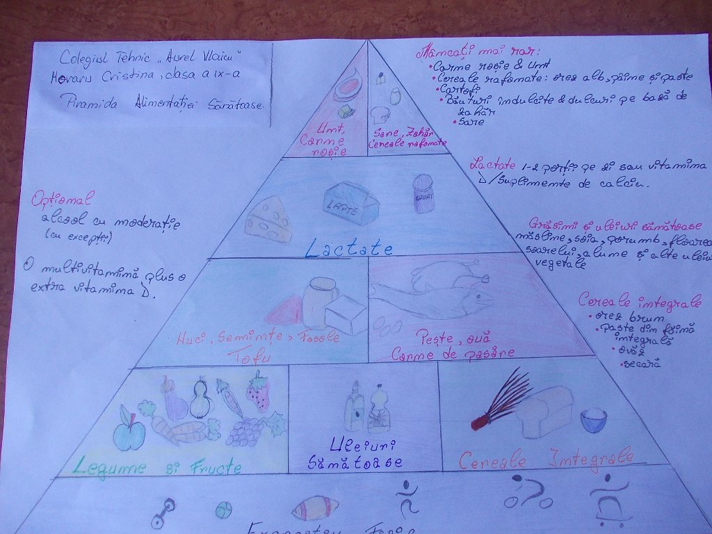 130_Moraru Cristina_CT Vlaicu BM.jpg